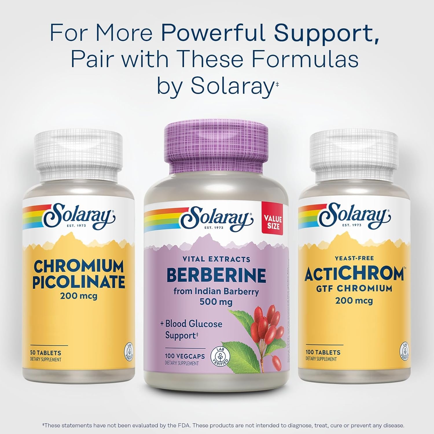 SOLARAY Berberine 500Mg - Berberine Supplement for a Healthy, Active Lifestyle - with Berberine Hcl from Indian Barberry - Vegan, Non-Gmo, 60-Day Guarantee, Lab Verified - 100 Servings, 100 Vegcaps