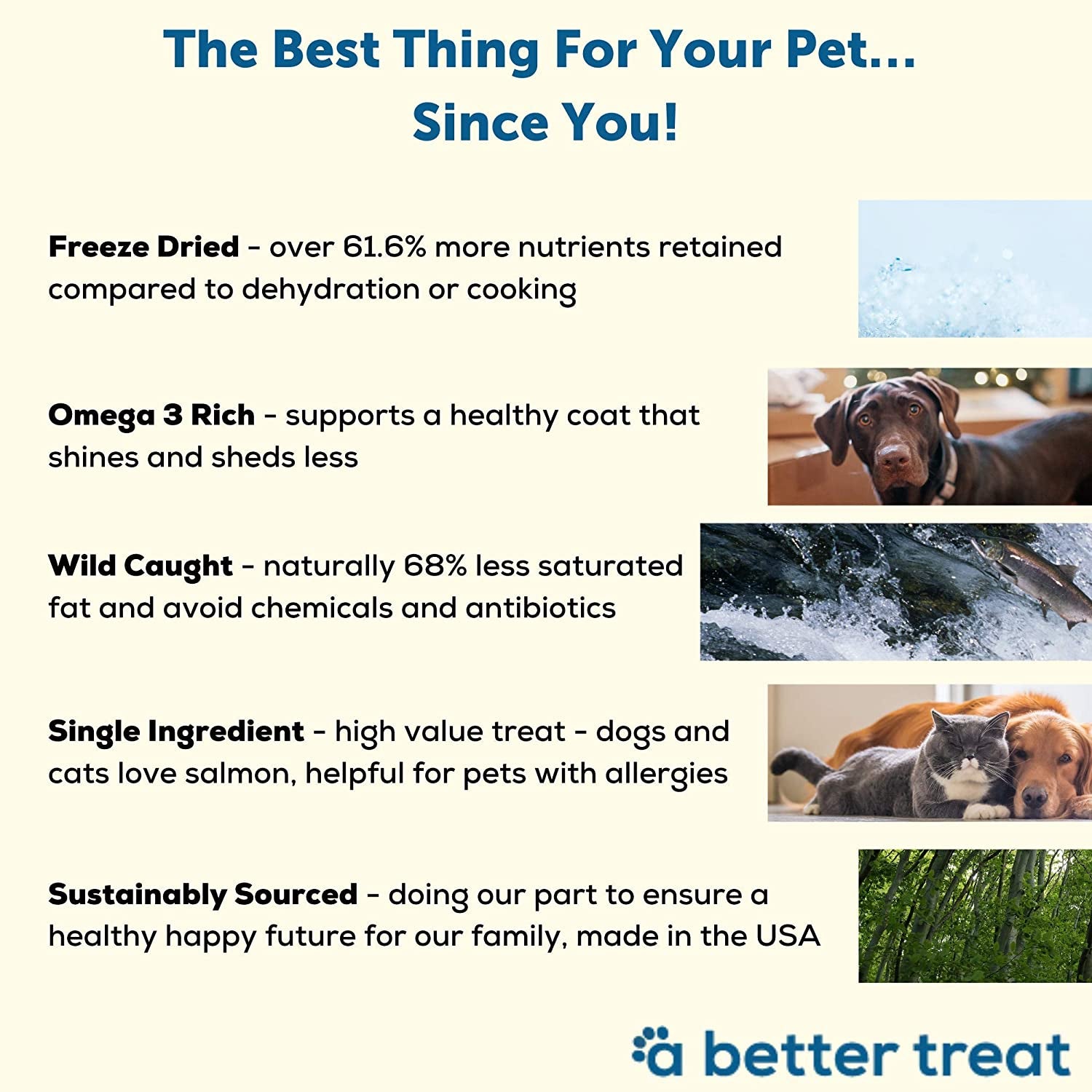 A Better Treat – Freeze Dried Salmon Dog Treats, Wild Caught, Single Ingredient | Natural High Value | Gluten Free, Grain Free, High Protein, Diabetic Friendly | Natural Fish Oil | Made in the USA