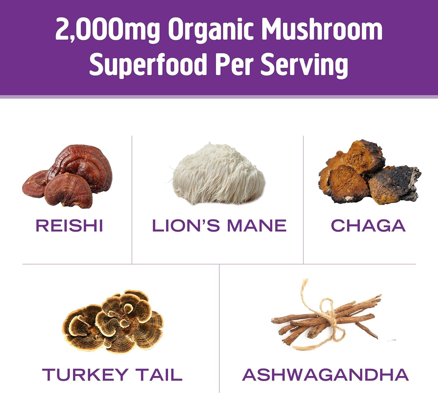 Om Mushroom Superfood Hot Chocolate Blend Mushroom Powder, 8.47 Ounce Canister, 30 Servings, Dutch Cocoa, 2G of Sugar, 25 Calories, Lion'S Mane, Reishi, Chaga, Turkey Tail, Focus and Stress Support