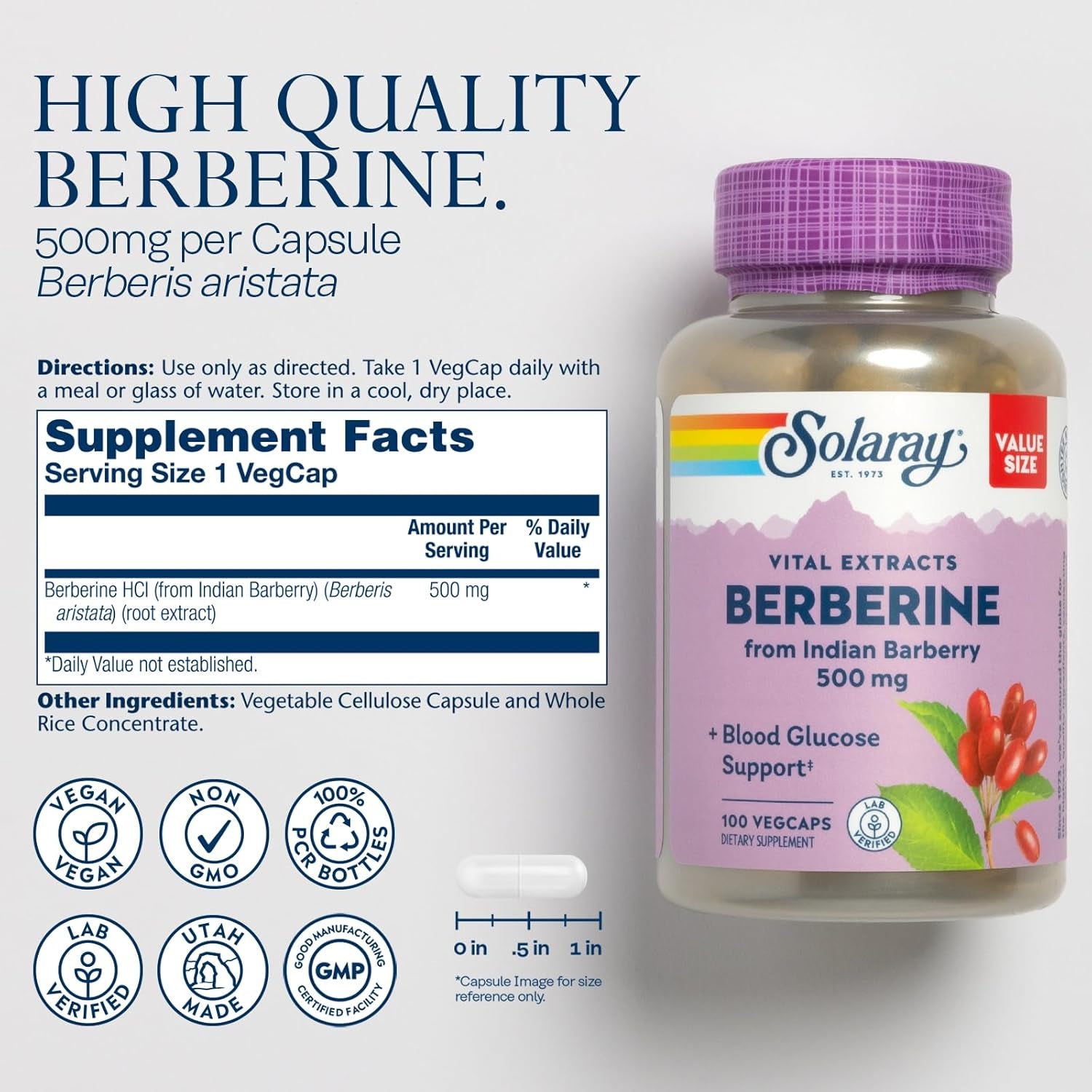 SOLARAY Berberine 500Mg - Berberine Supplement for a Healthy, Active Lifestyle - with Berberine Hcl from Indian Barberry - Vegan, Non-Gmo, 60-Day Guarantee, Lab Verified - 100 Servings, 100 Vegcaps