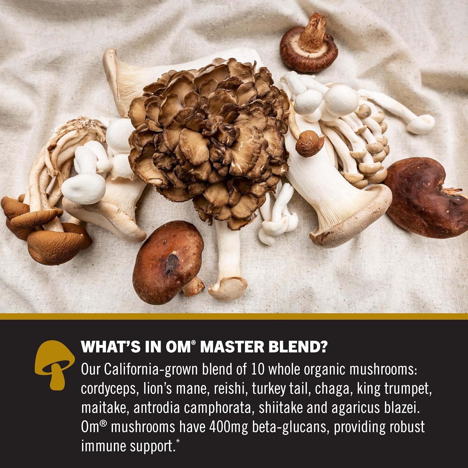 Om Mushroom Master Blend Powder, Reishi & Lions Mane, 3.17 Oz (Presentation May Vary)