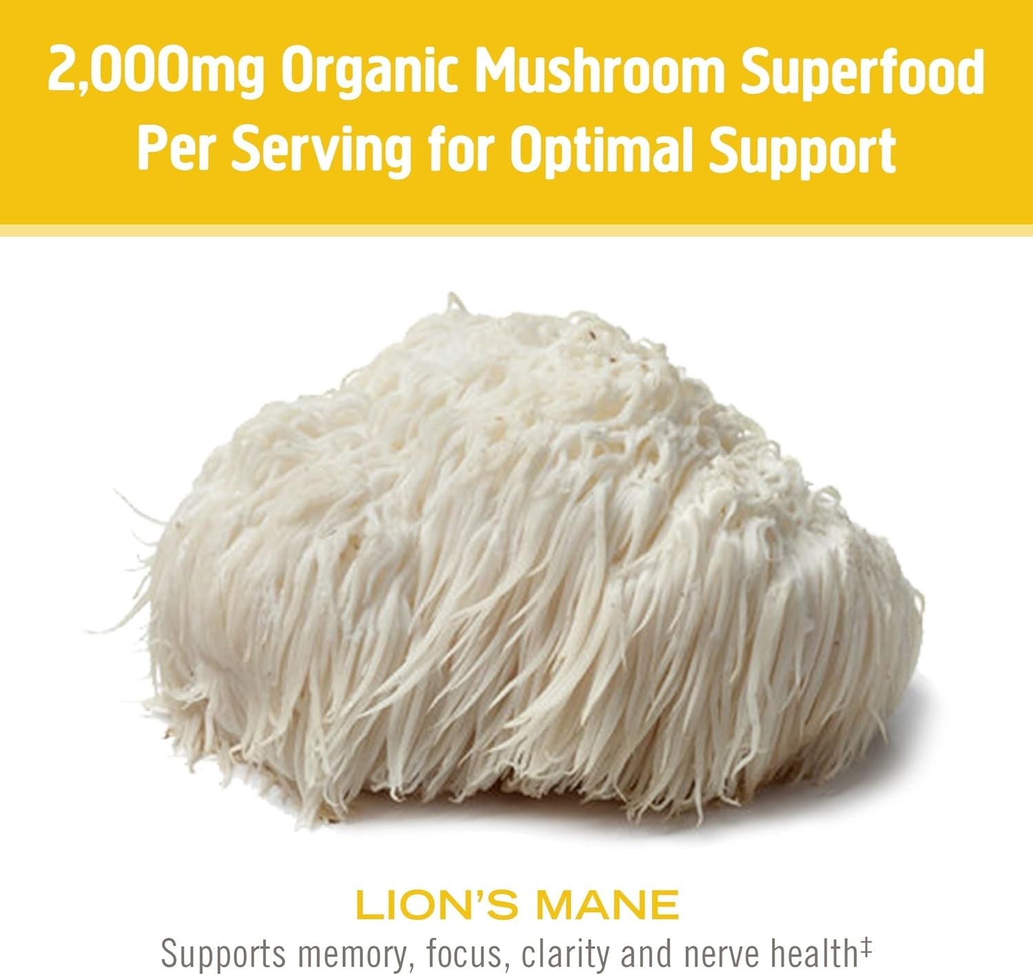 OM Mushroom Superfood | Lion'S Mane | USA Grown Organic Mushrooms | Memory, Focus, Clarity, Nerve Health & Mood Support | 7.05 Oz, 100 Servings Powder Supplement Pouch