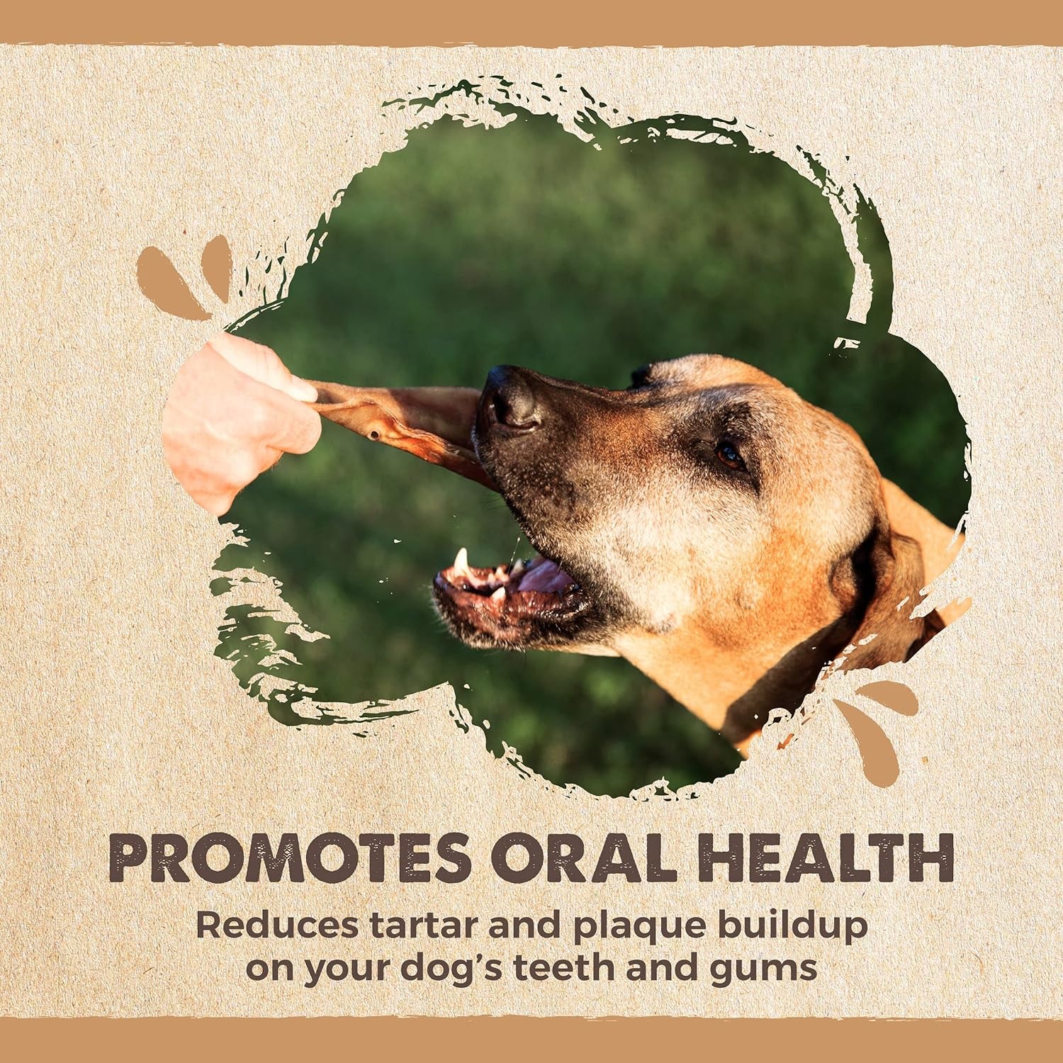 Mighty Paw Half Pig Ears for Dogs - All Natural Single Ingredient Natural Dog Ear Treat - Better than Rawhide Snacks for Puppies - a Better Treat Dog Bone Alternative for Medium and Large Dogs