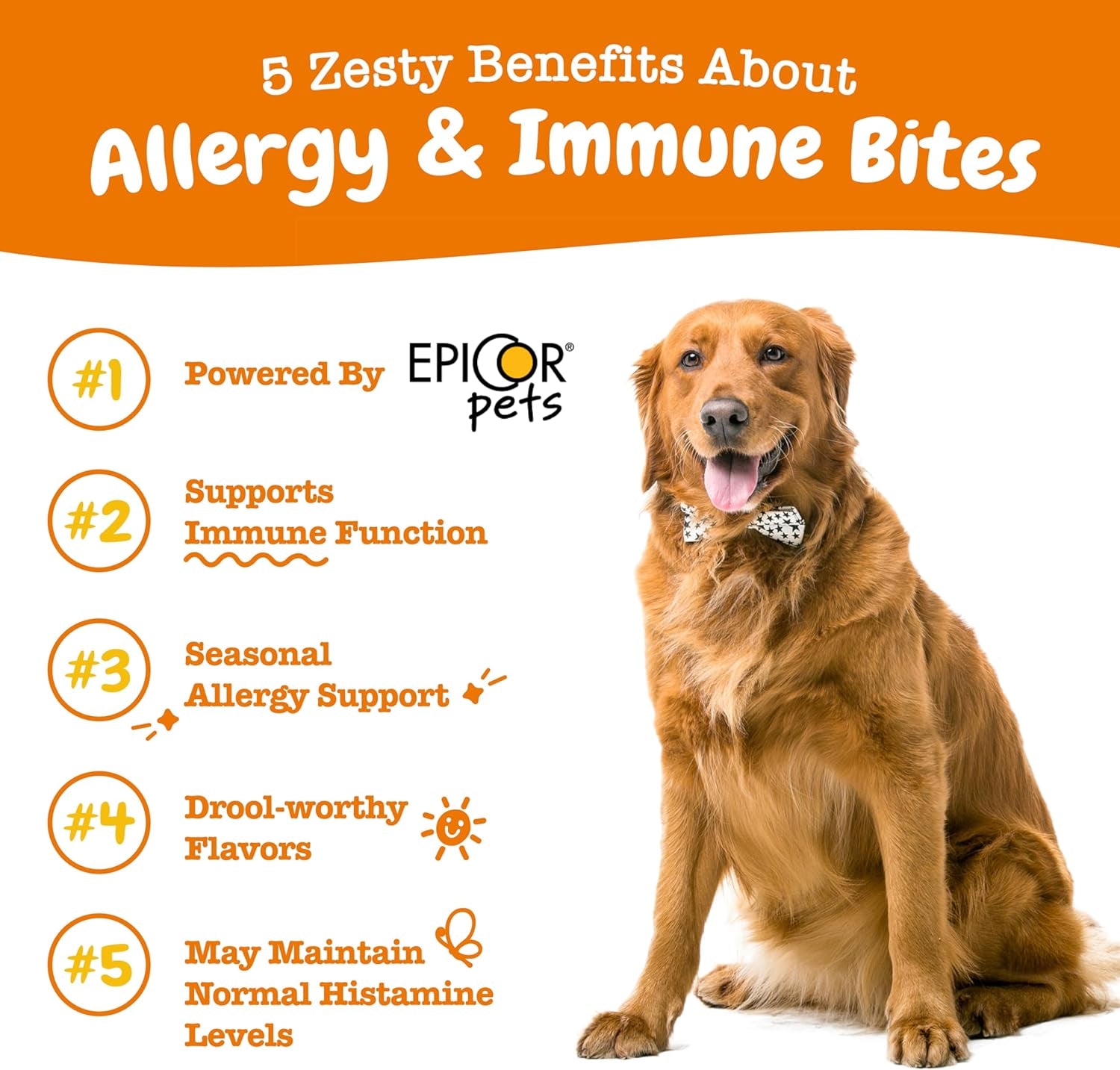 Zesty Paws Dog Allergy Relief - anti Itch Supplement - Omega 3 Probiotics for Dogs - Salmon Oil Digestive Health - Soft Chews for Skin & Seasonal Allergies - with Epicor Pets - PB - 90 Count